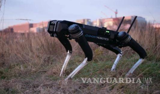 $!Cada perro pesa alrededor de 48 kilos y se desplaza por todo tipo de terreno.