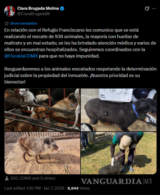 $!Rescatan a 936 animales del Refugio Franciscano en CDMX por presunto maltrato