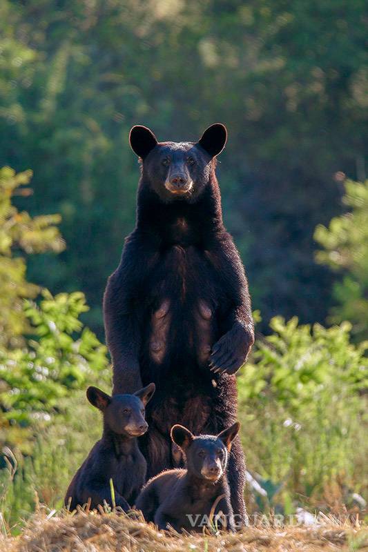 $!Coahuila se luce ante el mundo con concurso de fotografía