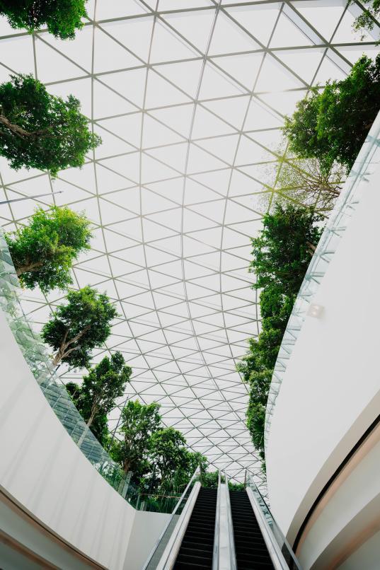 $!La arquitectura sostenible integra elementos de la naturaleza en los espacios interiores y exteriores.