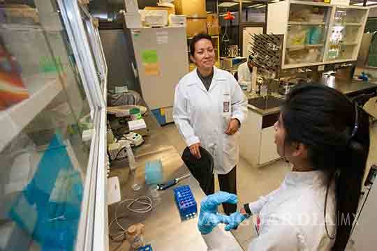 $!Científicos del IPN eliminan al 100% virus del papiloma humano en 29 mujeres