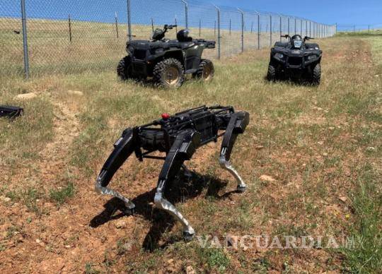 $!Estos perros tecnológicos se diseñaron con base en entrenamientos en escenarios simulados de situaciones de peligro.