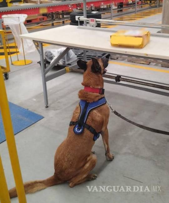 $!Según el informe que se proporcionó, este paquete había sido destinado para descarga en un domicilio de Illinois, en Estados Unidos.