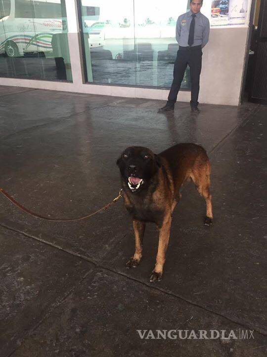 $!Van brigadistas y topos coahuilenses a brindar ayuda tras sismo