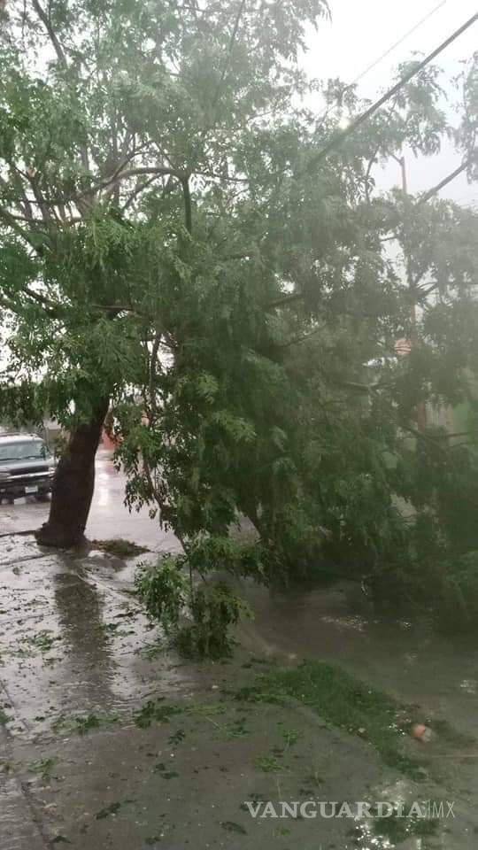 $!Acuña: deja tormenta con vórtices de tornado severos daños y sin luz a la ciudad