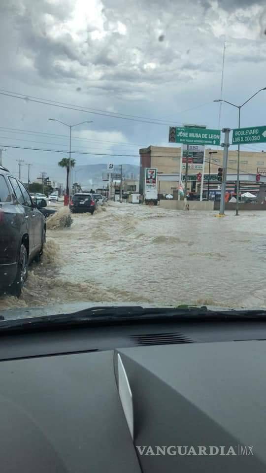 $!Tromba causa caos en norte de Saltillo; caen árboles y panorámicos