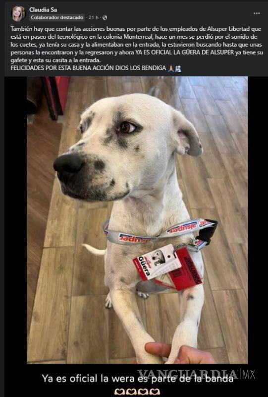 $!AlSuper de Torreón ‘oficializa’ adopción de ‘La Güera’; ya hasta luce un gafete