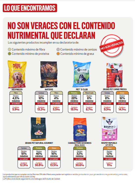 $!Purina, Royal Canin o Pedigree... Estas son las mejores croquetas para perro, según la PROFECO