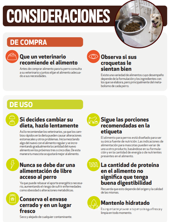 $!Purina, Royal Canin o Pedigree... Estas son las mejores croquetas para perro, según la PROFECO