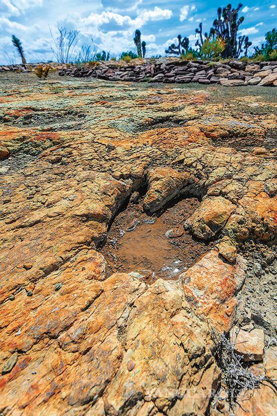 $!Las Águilas conserva más de 207 icnitas de dinosaurios sobre la superficie rocosa.