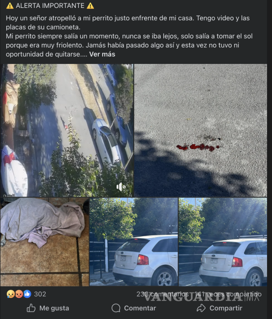 $!Usuarios de redes sociales confrontaron posturas sobre el caso ocurrido en Saltillo, mientras algunos exigieron sanciones para el conductor, otros señalaron la obligación de los dueños de mantener a sus mascotas bajo supervisión.