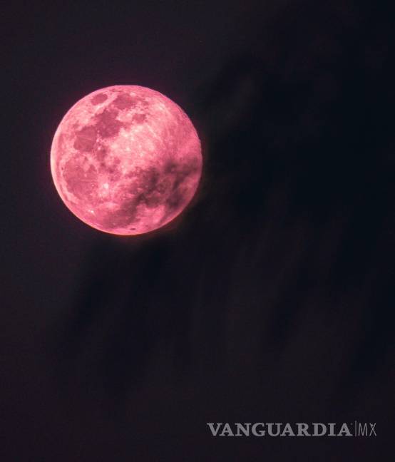 $!Este martes 23 de abril, México tiene una cita con uno de los eventos astronómicos más esperados del año: la Luna Rosa.
