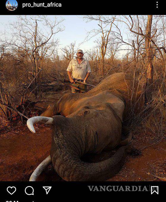 $!Cazador fue asesinado de un tiro en Sudáfrica; en redes lo celebran