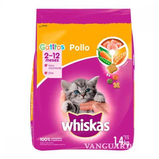 $!¿Hay gato encerrado en las croquetas para tu ‘michi’?... Según Profeco, estas son las marcas más engañosas y dañinas para tu mascota