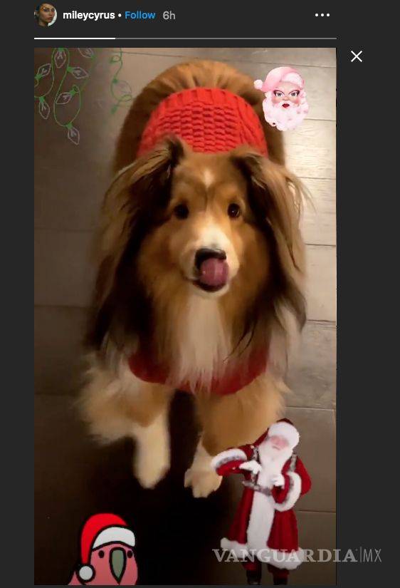 $!El espíritu navideño invade a los famosos