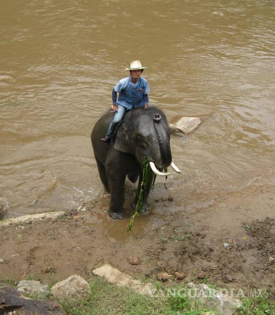 $!Tailandia, vestigios del reino de Siam