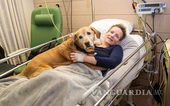 $!Atleta paralímpica Marieke Vervoort muere tras someterse a la eutanasia