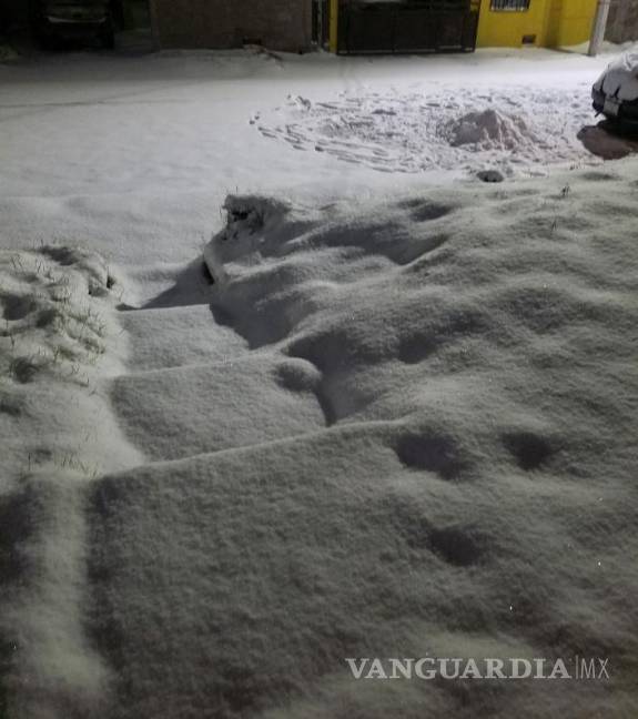 $!Nevada y formación de hielo cubrieron vialidades y áreas abiertas en el norte de Coahuila, generando condiciones de riesgo que obligaron al cierre preventivo de carreteras.