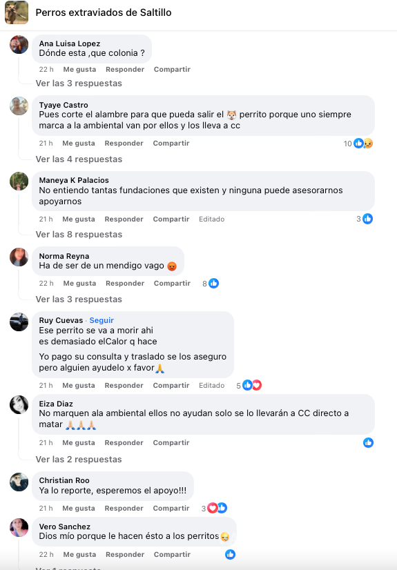 $!Manera K Palacios insta a difundir información sobre cómo actuar en casos de maltrato animal, en un llamado a la solidaridad y la conciencia ciudadana.