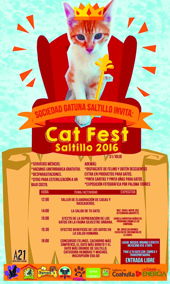 $!Por primera vez llega el Cat Fest 2016 a Saltillo