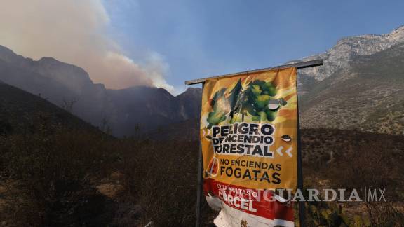 Reportan Incendio Forestal En La Sierra Ubicada En Los Límites De Coahuila Y Nuevo León 1773