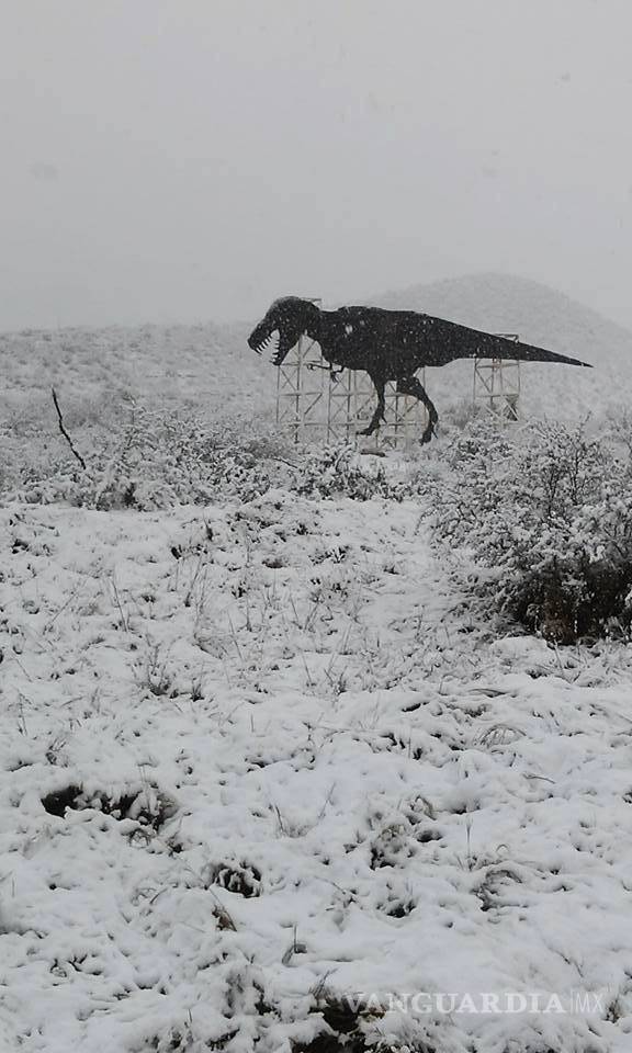 $!Cae nieve en ejidos de Castaños