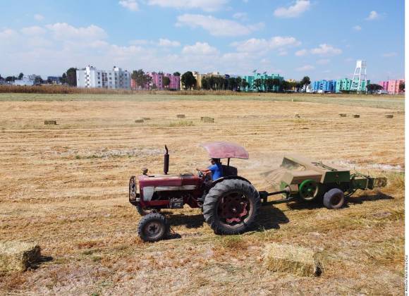 Preocupa a productores agrícolas de Sinaloa la falta de trabajadores por violencia del crimen organizado