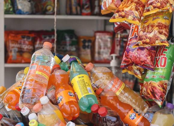 ONG presenta plataforma para monitorear alimentos en escuelas