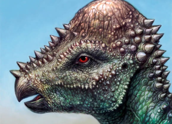 cabeza de paquicefalosaurio