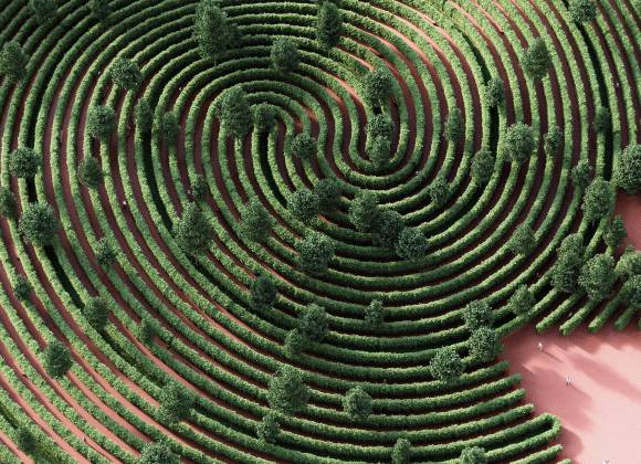 ¿Sabías que la soledad afecta a una de cada 6 personas en el mundo?