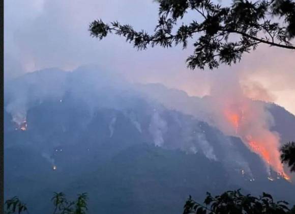 En Veracruz, combaten 23 incendios forestales activos – Vanguardia MX