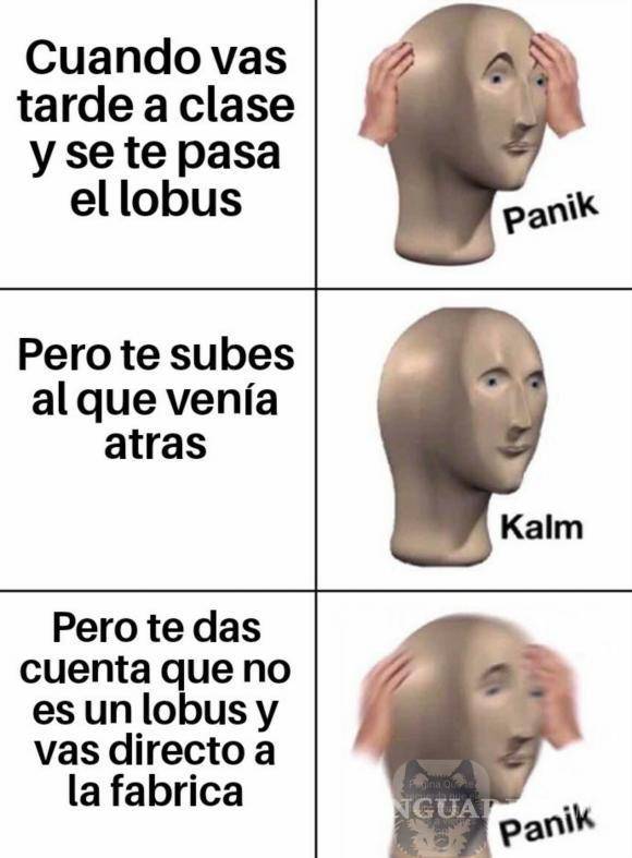 $!Abundan los memes de burlas por el servicio que presta el Lobus.