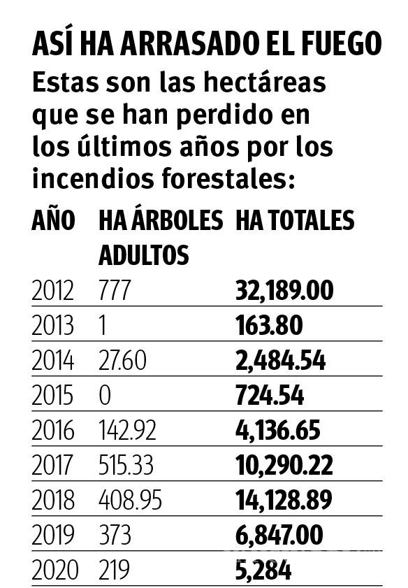 $!Arteaga, con el peor desastre en bosques en una década