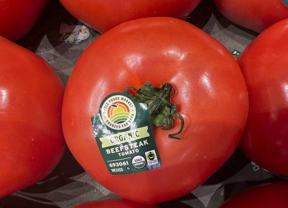 Se avecina un arancel sobre tomates mexicanos; hay preocupación por parte de productores y empresarios