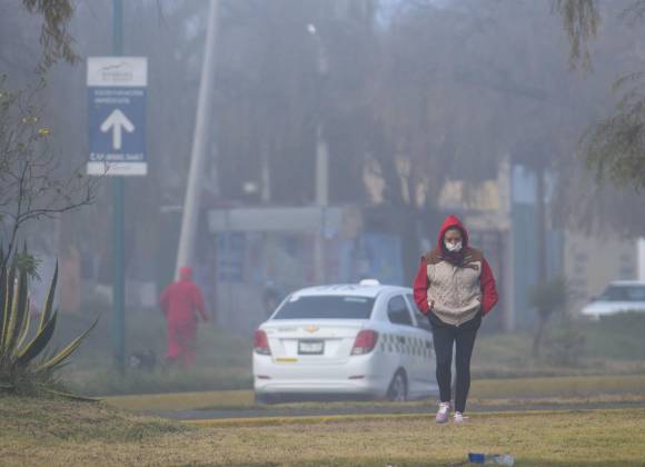 The frosts have arrived… Conagua warns of temperatures below freezing in these states