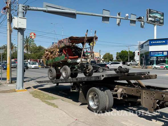 $!El carromato fue asegurado por personal del Municipio tras el rescate del equino.