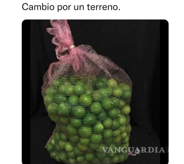 $!Si la vida te da limones...haz memes; saltillenses se burlan del aumento en el precio del limón