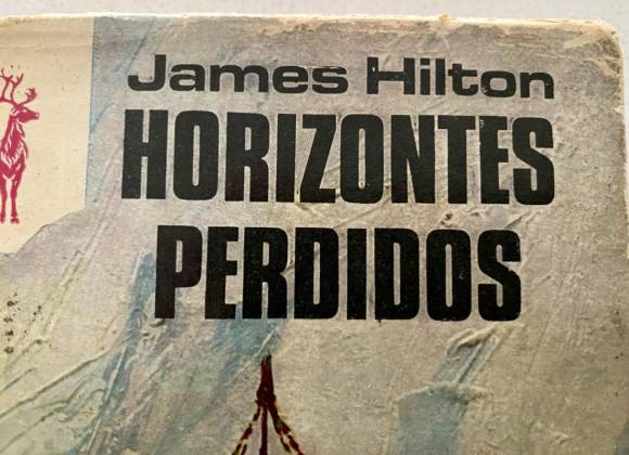 Ximena Peredo: Eres menos dañina en tu rol de burócrata, que como activista