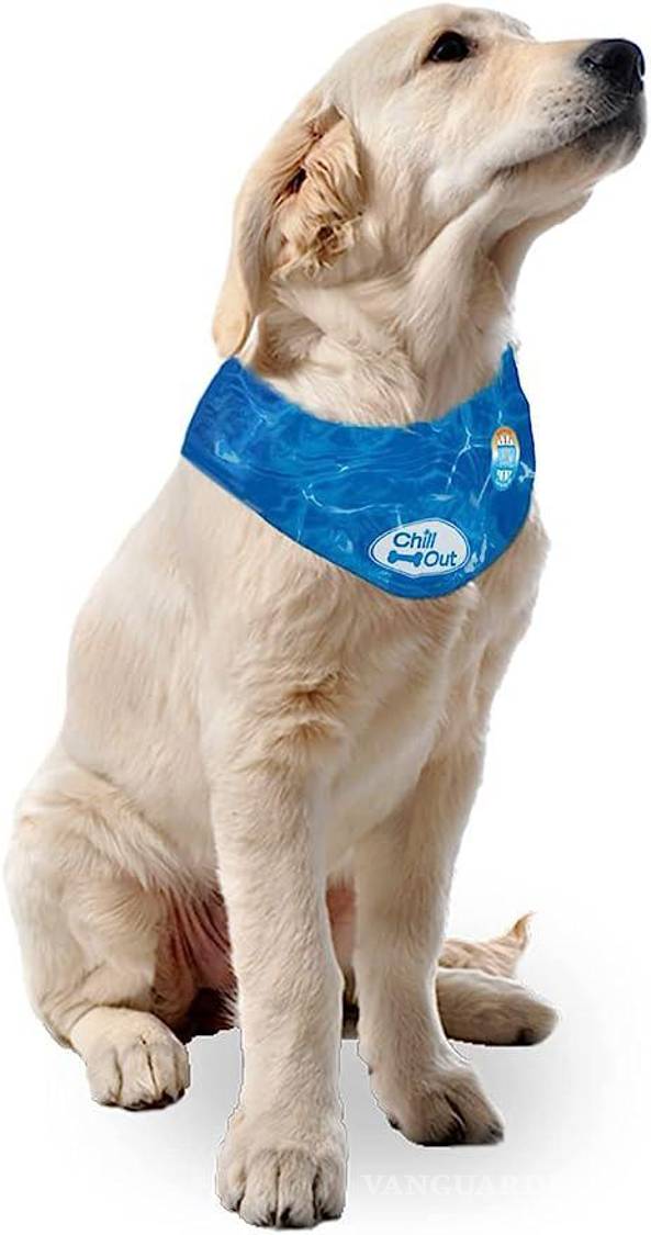$!Bandana refrescante para perro que se congela.