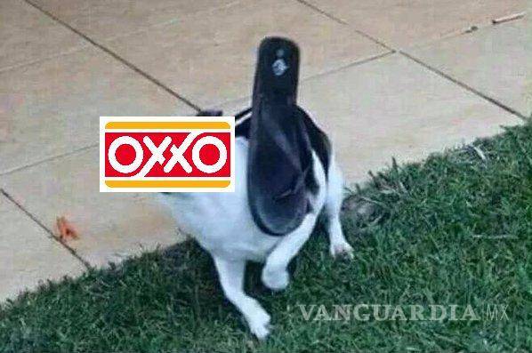 $!Seven Eleven México trollea a Oxxo... y las redes se llenan de memes