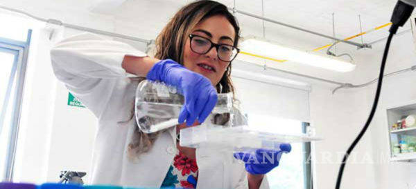 $!Científica mexicana logra frenar la retención de sal en riñones