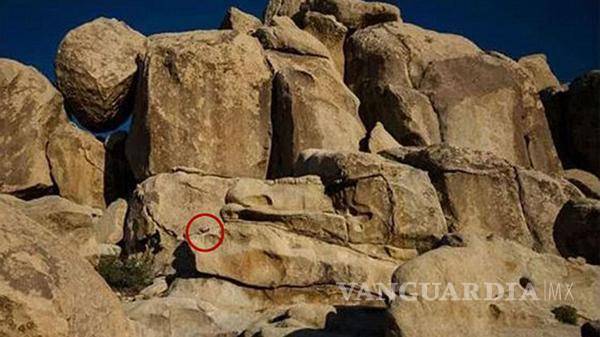 $!¿Puedes encontrar a la niña con sus manos en alto en esta foto?