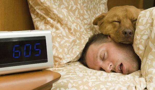 Kaizen, una técnica japonesa para combatir la flojera del lunes