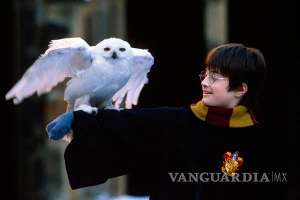 $!J. K. Rowling, y la “cámara de sus secretos”