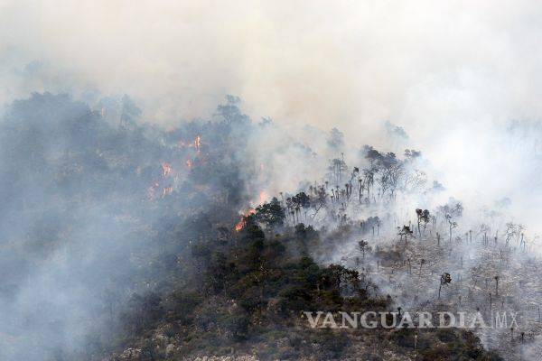 $!Devasta fuego 150 hectáreas de Sierra Zapalinamé en Coahuila; fue provocado: Medio Ambiente