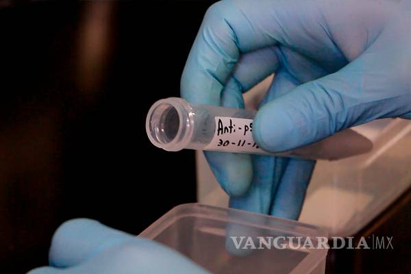 $!Estudian sustancia de frutos rojos que puede ayudar en el tratamiento de cáncer de mama