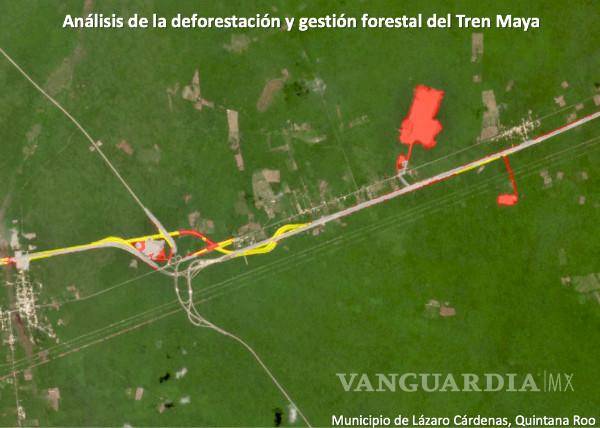 $!En amarillo la deforestación con autorización de Semarnat. En rojo la deforestación sin autorización. Fuente: CartoCrítica.