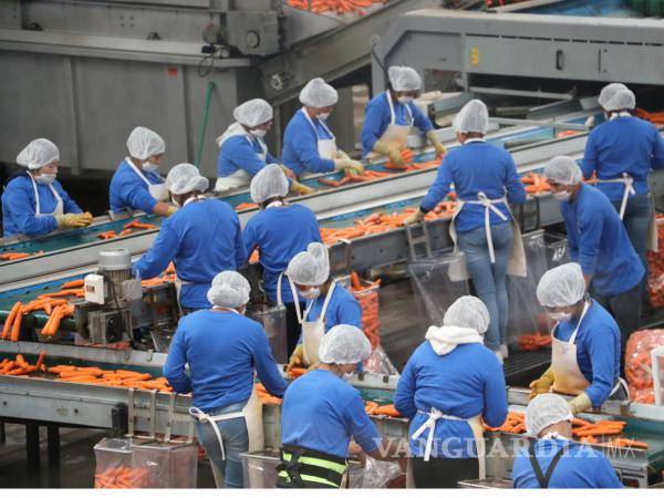 $!Pese al incremento en el número de empleos, los sueldos siguen siendo insuficientes.