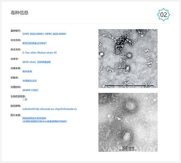$!Comparten primera imagen del coronavirus visto desde el microscopio