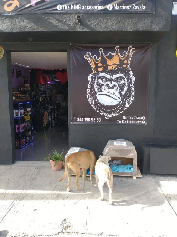 $!Hace dos semanas se hizo un llamado a la sociedad en redes sociales para sumarse a la fabricación de casas de material reciclable.